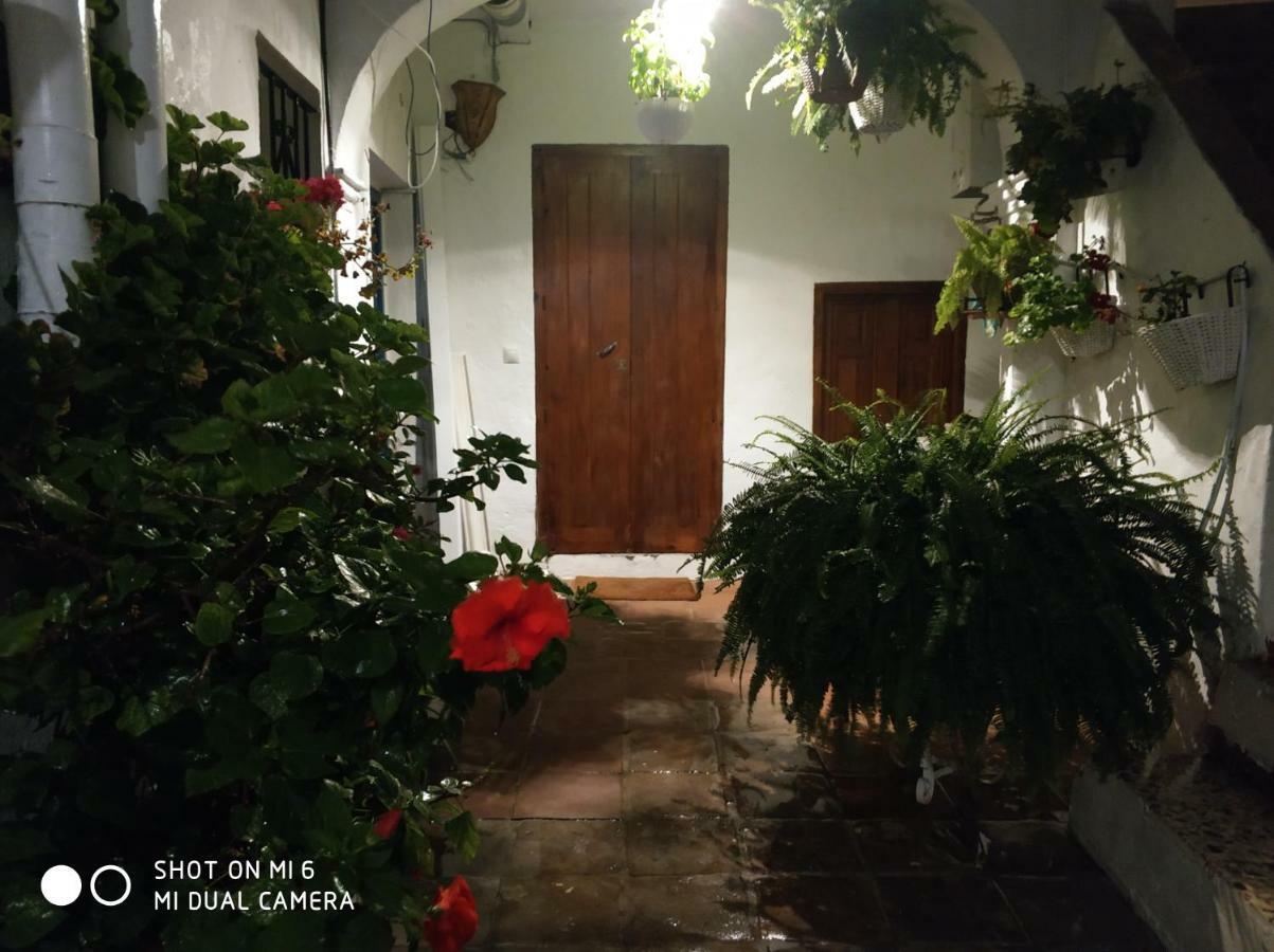 The Best In The Center Of Tarifa Διαμέρισμα Εξωτερικό φωτογραφία